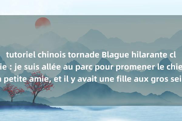 tutoriel chinois tornade Blague hilarante classique de petite amie : je suis allée au parc pour promener le chien avec ma petite amie, et il y avait une fille aux gros seins en face de moi et je n&